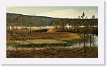 autum colors of taiga * 900 x 506 * (541KB)